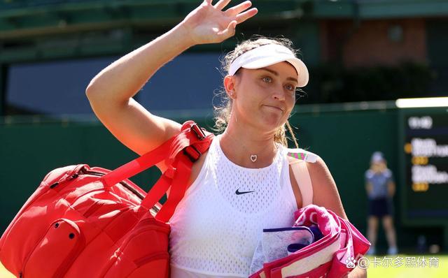 软性外交 软性外交