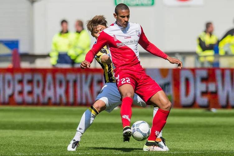 奇体系里意 奇体系里意