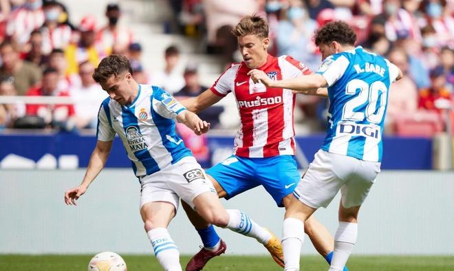 投票力压胡 投票力压胡